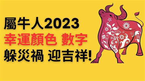 2023屬牛運勢